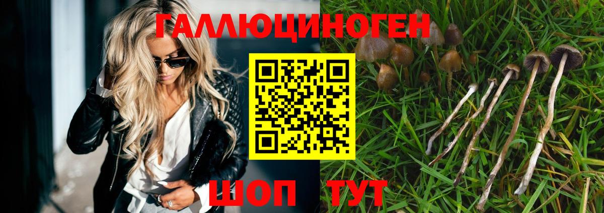 Галлюциногенные грибы мухоморы Новоуральск